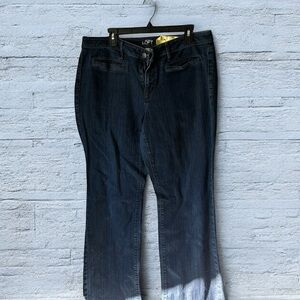Loft by Ann Taylor curvy bootcut blue jeans W20   R11  L32